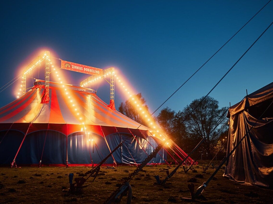 Zu Besuch beim Kinder- und Jugendzirkus Dobbelino: Manege frei